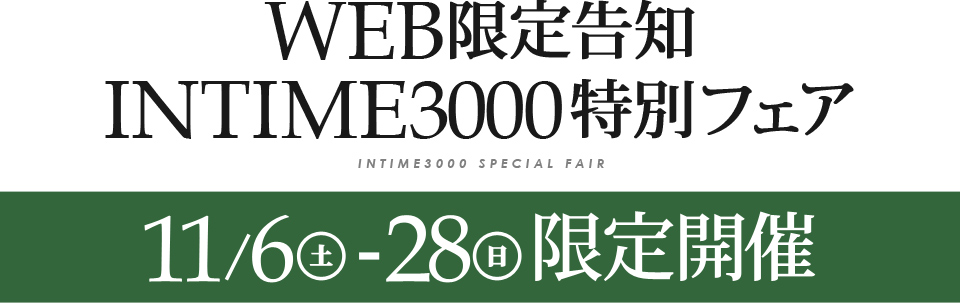 電動ベッドINTIME3000・WEB限定フェア